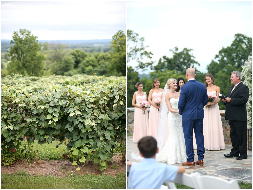 A-Classic-Wedding-at-Bluemont-Vineyard-Bluemont-VA-Photos-by-Ashley-Glasco-Photography (37)